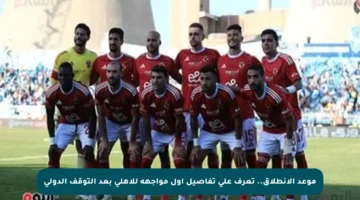 موعد الانطلاق.. تعرف على تفاصيل أول مواجهة للأهلي بعد التوقف الدولي